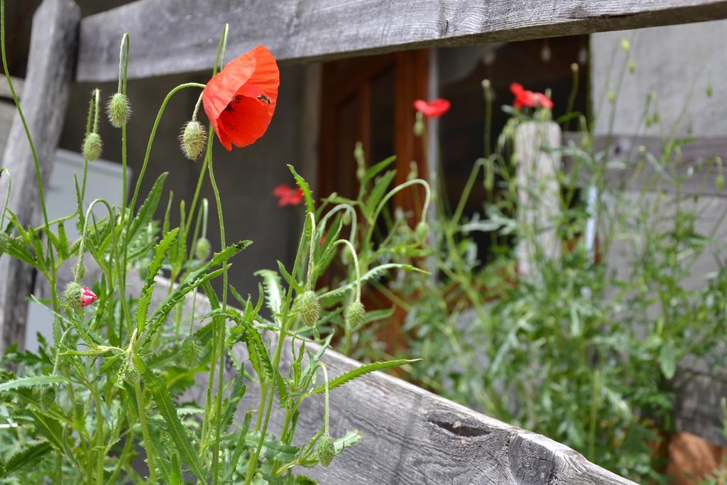 Holiday Farmhouse Skvor Robidisce Bagian luar foto