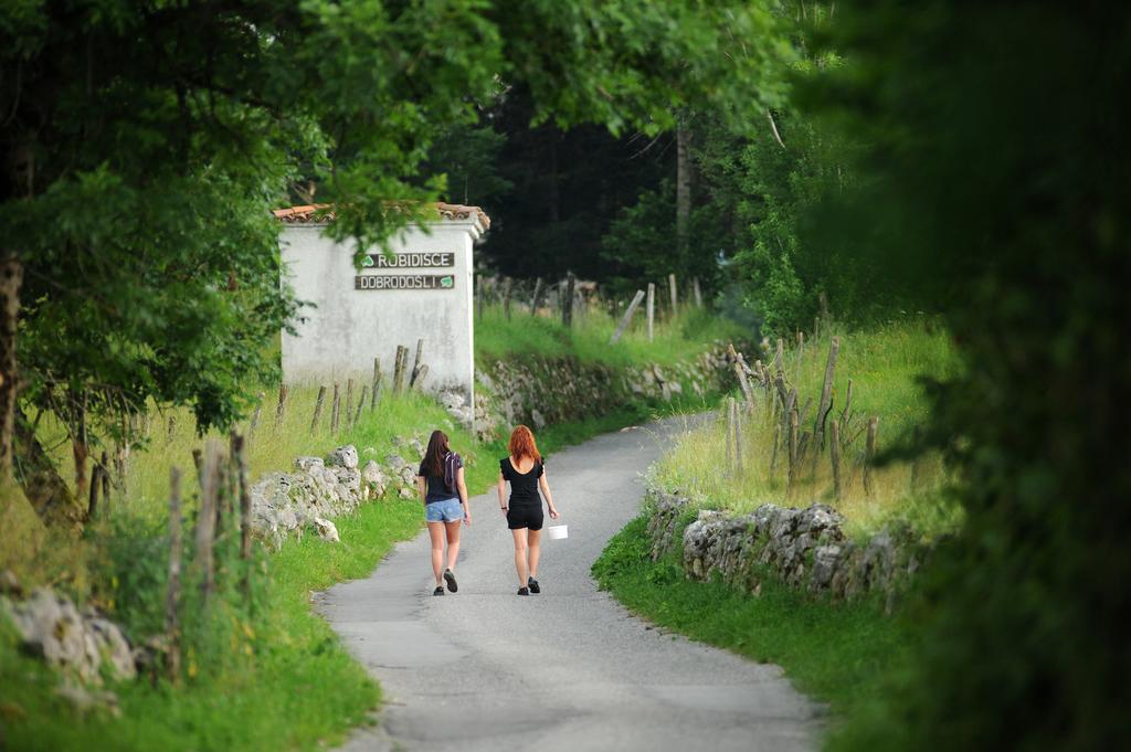 Holiday Farmhouse Skvor Robidisce Bagian luar foto