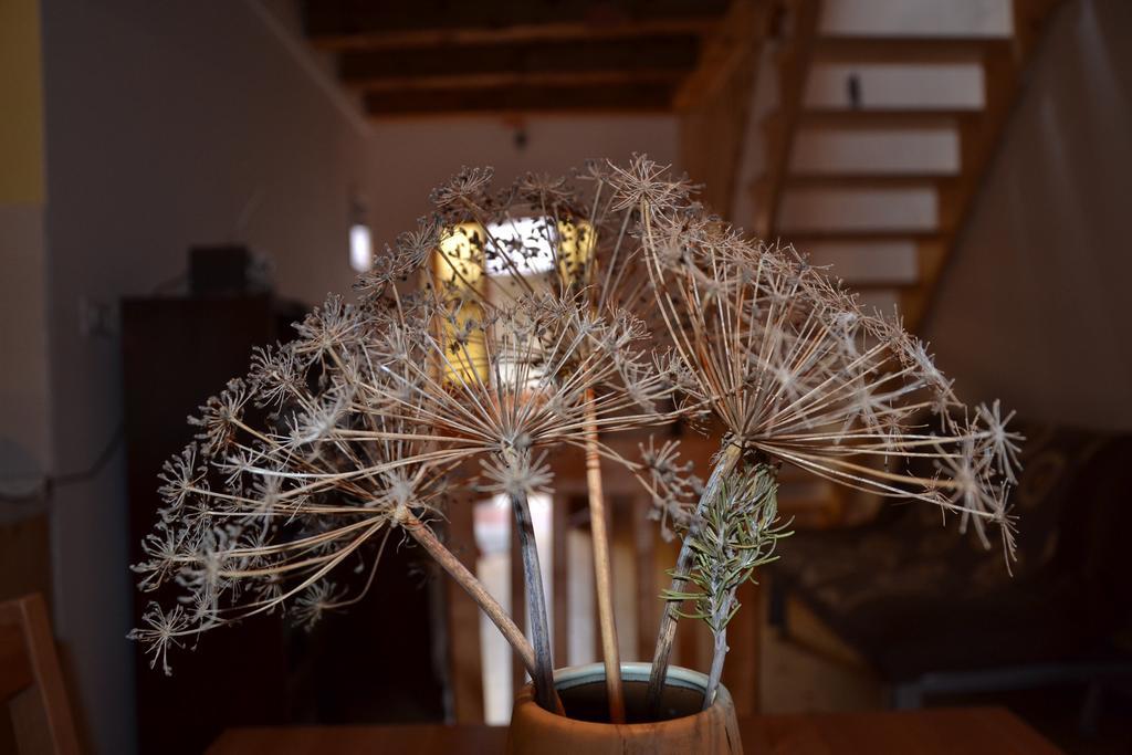 Holiday Farmhouse Skvor Robidisce Bagian luar foto